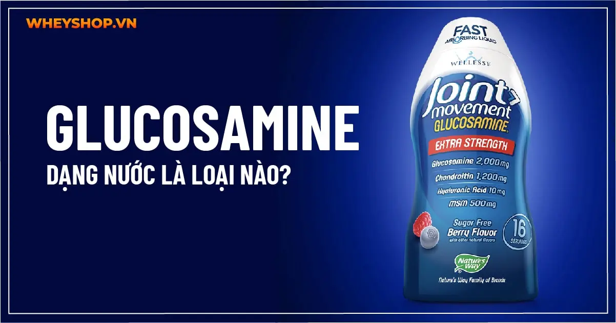 Glucosamine dạng nước là loại nào? Glucosamine Dạng Nước Wellesse Joint Movement 1000ml có tốt không?