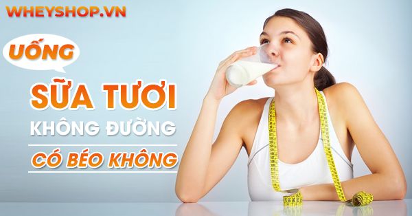 Uống sữa tươi không đường có béo không?