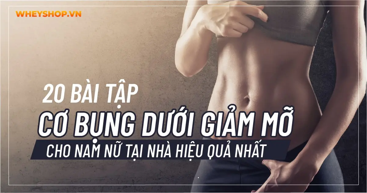 20 bài tập cơ bụng dưới giảm mỡ cho nam nữ tại nhà hiệu quả nhất