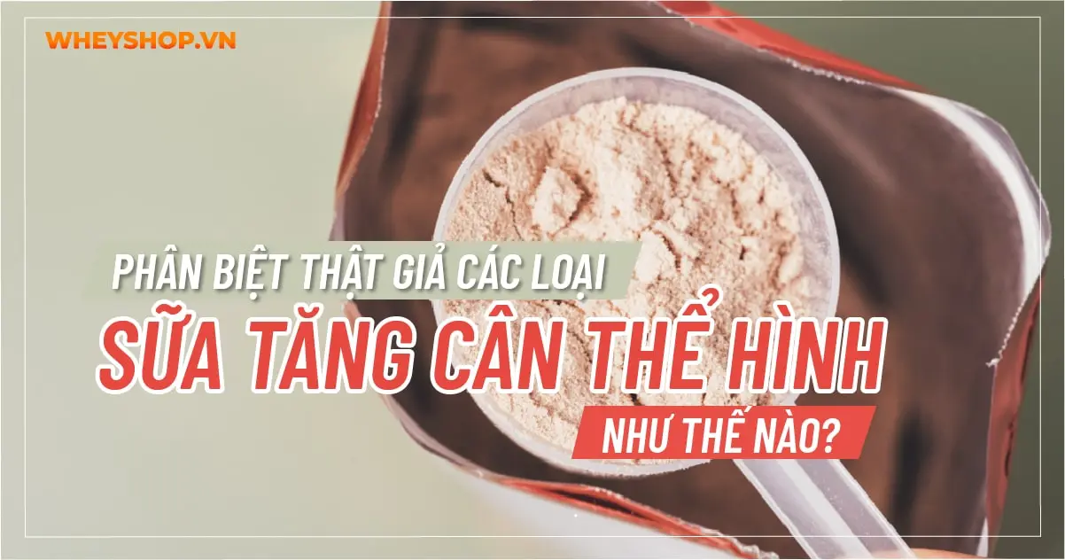 Phân biệt thật giả các loại sữa tăng cân thể hình như thế nào?