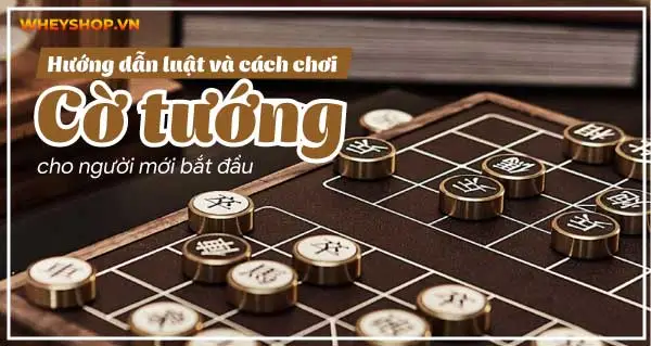 Hướng dẫn luật và cách chơi cờ tướng giỏi cho người mới bắt đầu