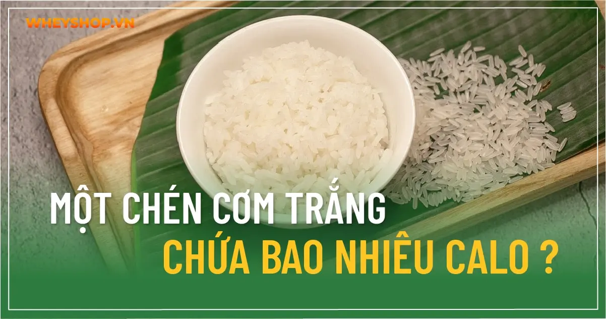 Một chén cơm trắng chứa bao nhiêu calo ?