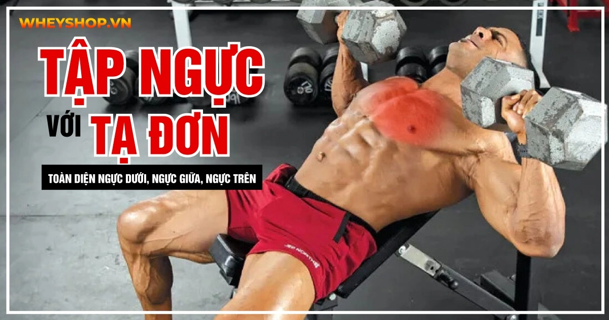 Tập ngực với tạ đơn toàn diện ngực dưới, ngực giữa, ngực trên 