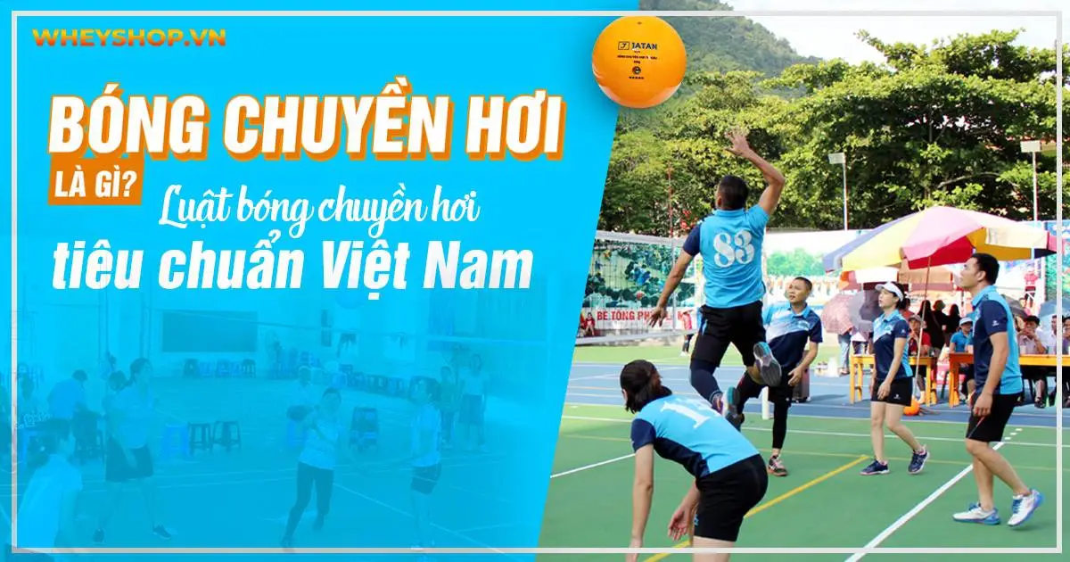 Bóng chuyền hơi là gì? Luật bóng chuyền hơi tiêu chuẩn Việt Nam