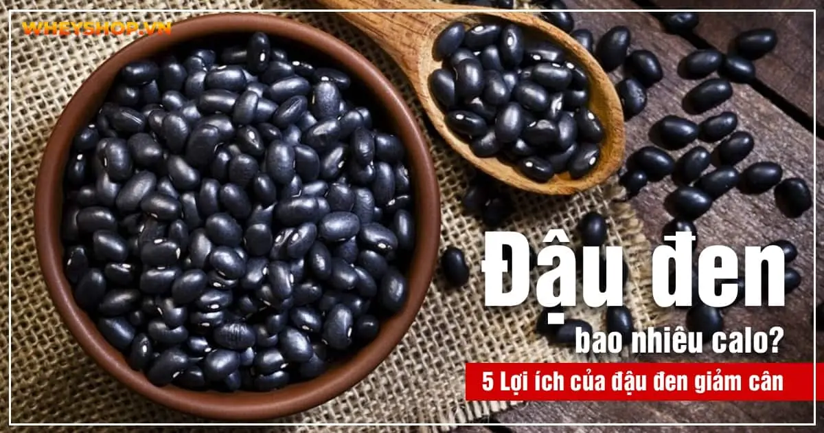 Giải đáp thắc mắc: Đậu đen bao nhiêu calo? 5 Lợi ích của đậu đen giảm cân