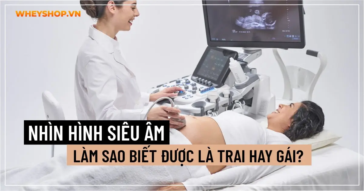 Nhìn hình siêu âm làm sao biết được là trai hay gái?