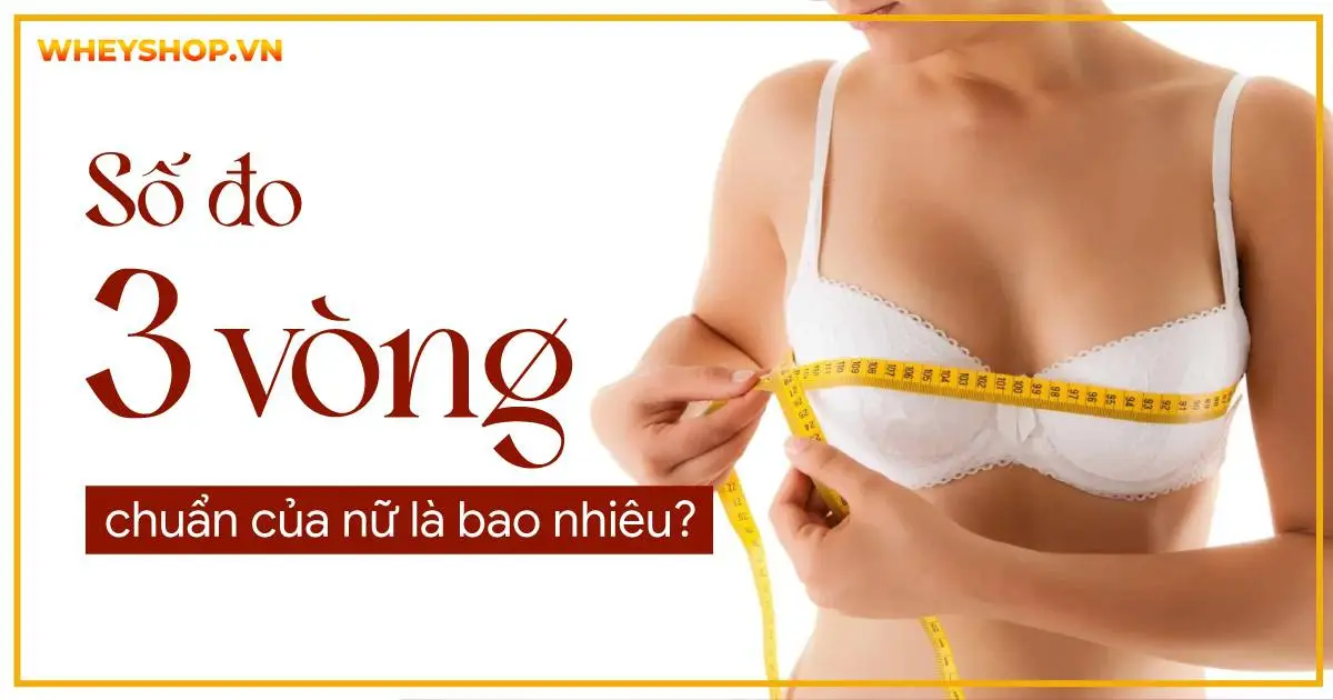 Số đo 3 vòng chuẩn của nữ là bao nhiêu?