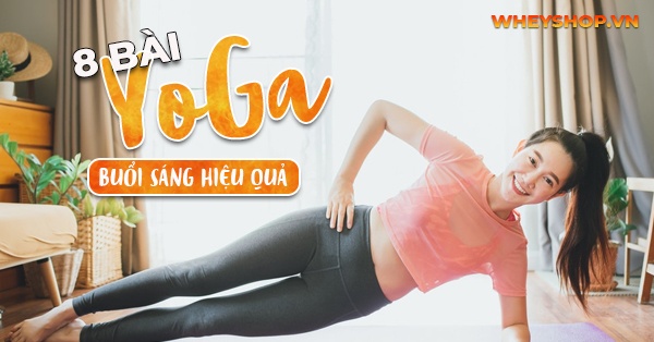 Hướng dẫn 8 bài tập yoga buổi sáng hiệu quả nhất