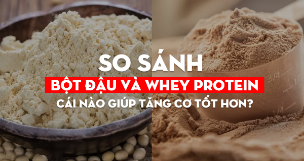 So sánh bột đậu và Whey Protein: cái nào giúp tăng cơ tốt hơn?