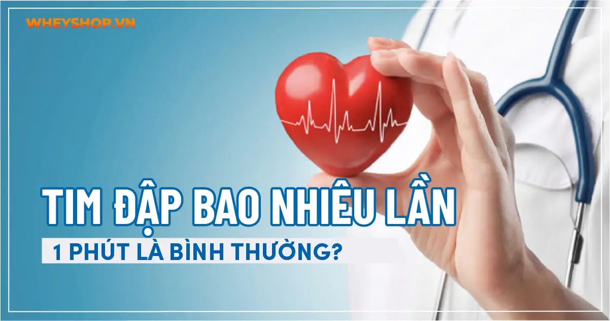 Tim đập bao nhiêu lần 1 phút là bình thường?