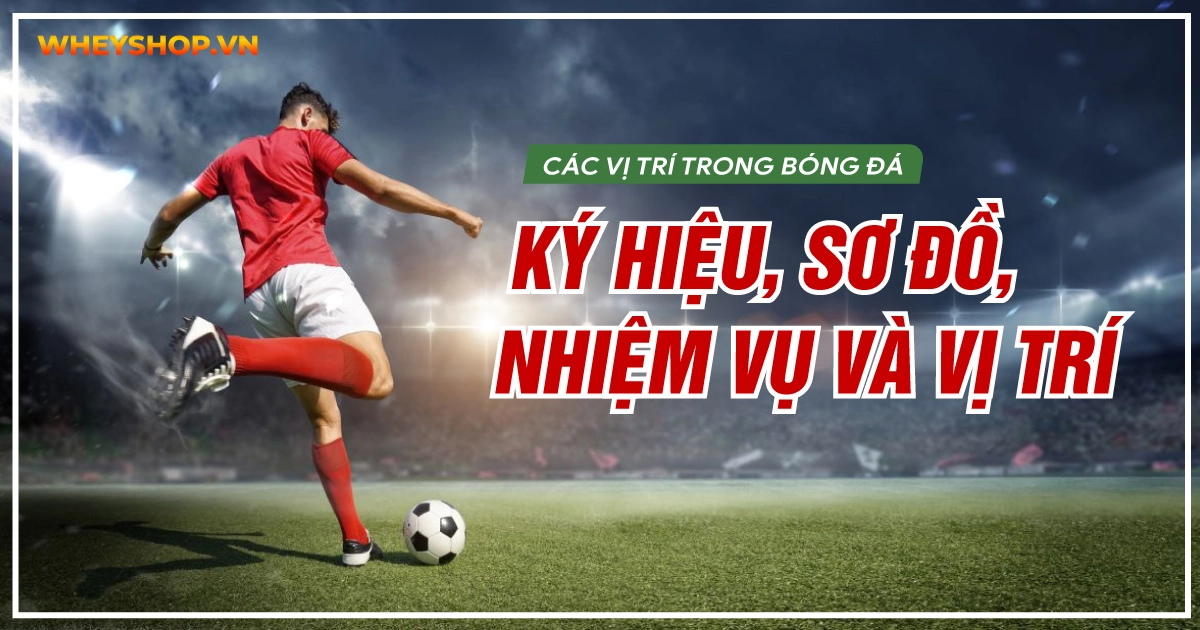 Các vị trí trong bóng đá: Ký hiệu, sơ đồ, nhiệm vụ và vị trí