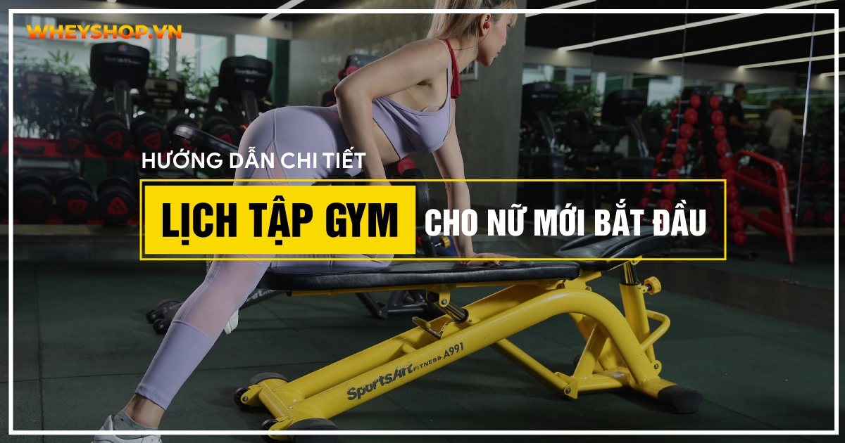 Hướng dẫn chi tiết lịch tập gym cho nữ cho người mới bắt đầu