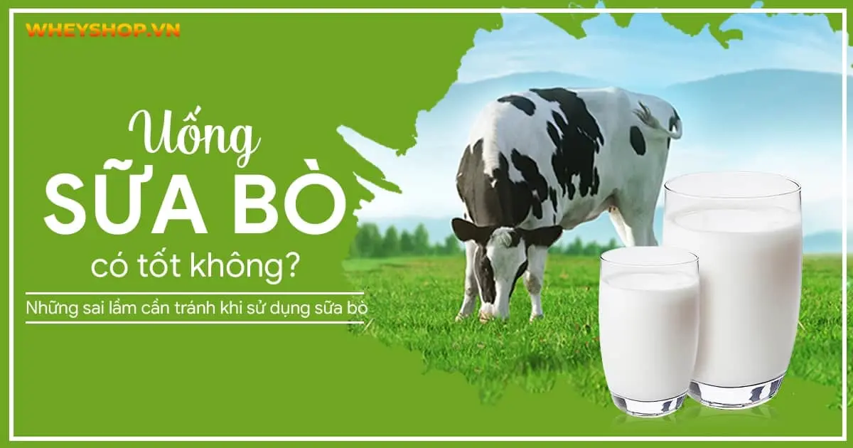 Uống sữa bò có tốt không? Những sai lầm cần tránh khi sử dụng sữa bò