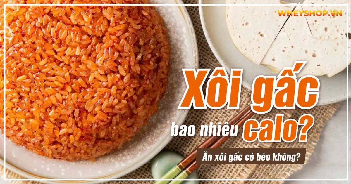 Xôi gấc bao nhiêu calo? Ăn xôi gấc có béo không?