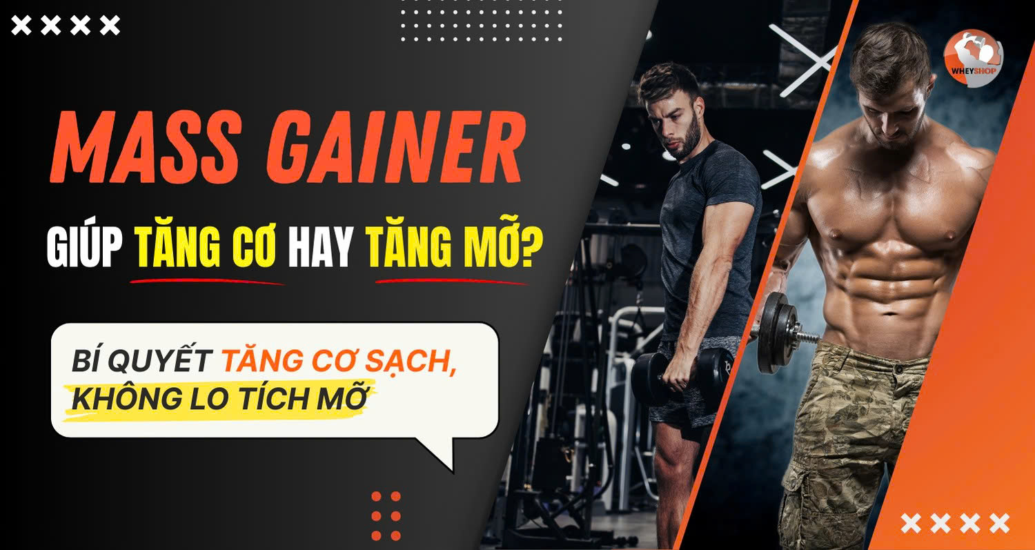 Mass Gainer giúp tăng cơ hay tăng mỡ? Bí quyết tăng cơ sạch không lo tích mỡ