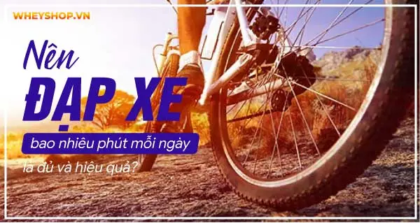 Nên đạp xe bao nhiêu phút mỗi ngày là đủ và hiệu quả?