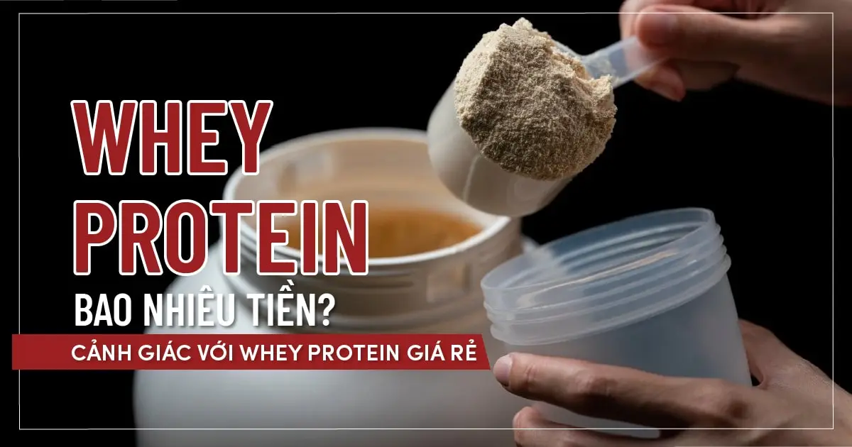 Whey Protein bao nhiêu tiền? Cảnh giác với Whey Protein giá rẻ