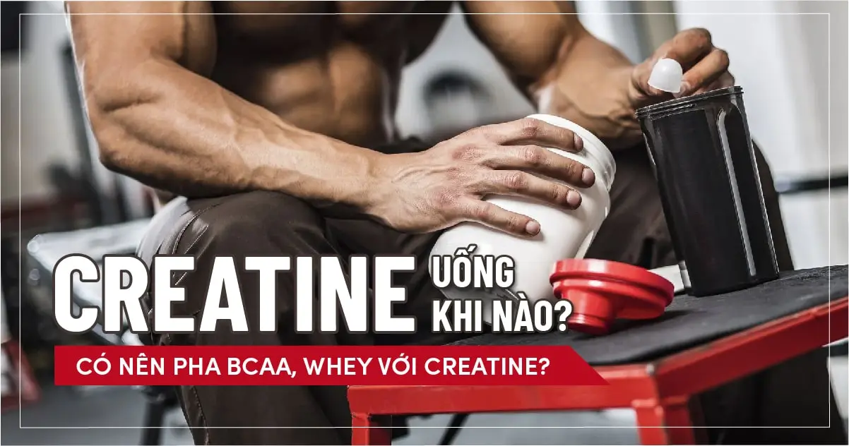 Creatine uống khi nào? Có nên pha BCAA, Whey với Creatine?