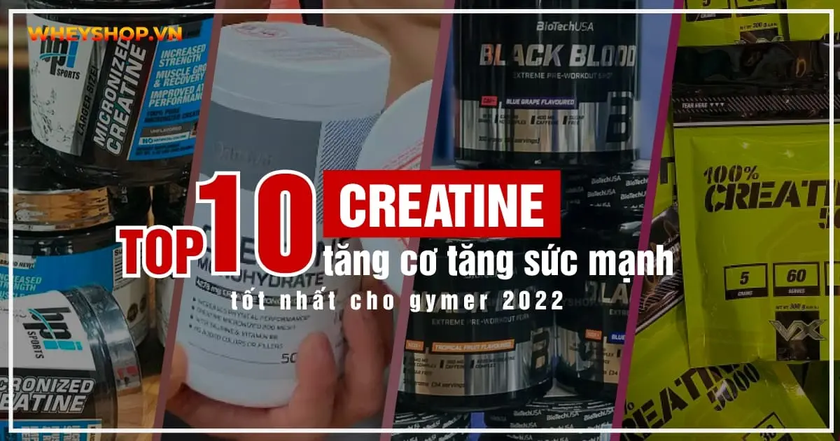 Creatine nào tốt nhất? TOP 10 Creatine tăng sức mạnh tốt nhất 2025