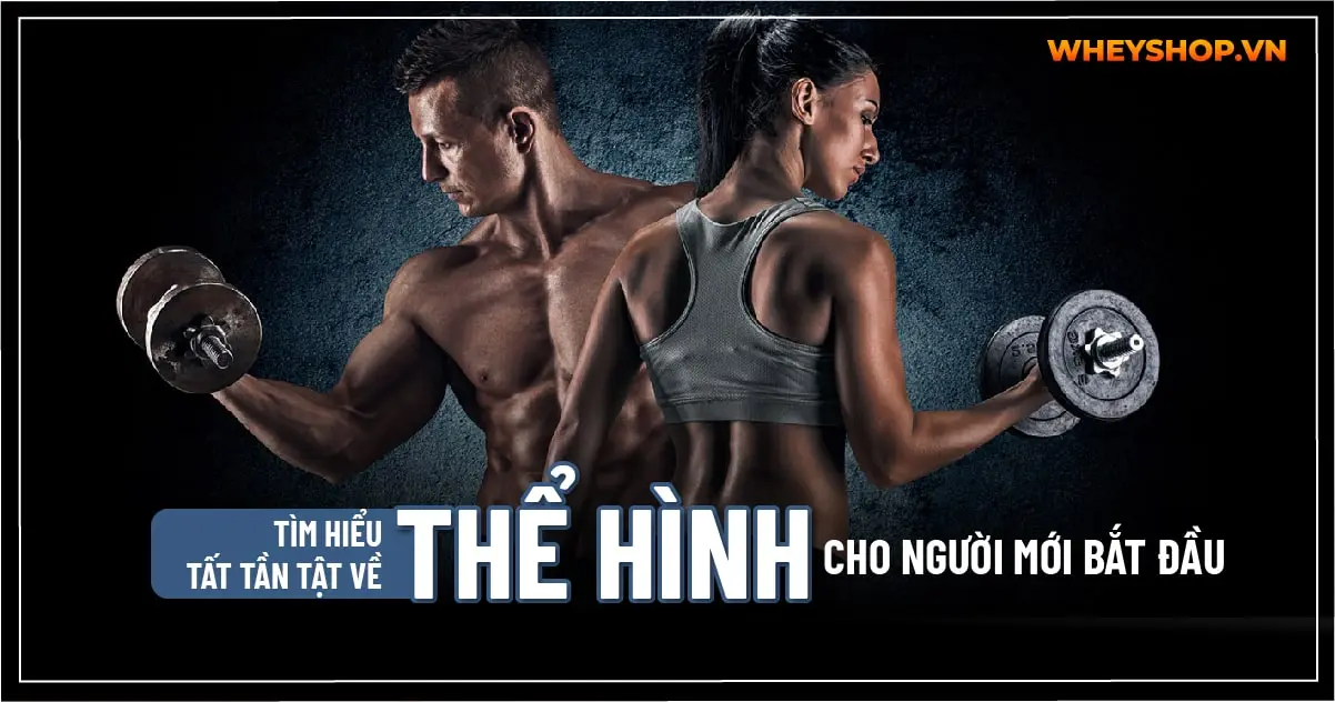 Tìm hiểu tất tần tật về Thể Hình cho người mới bắt đầu