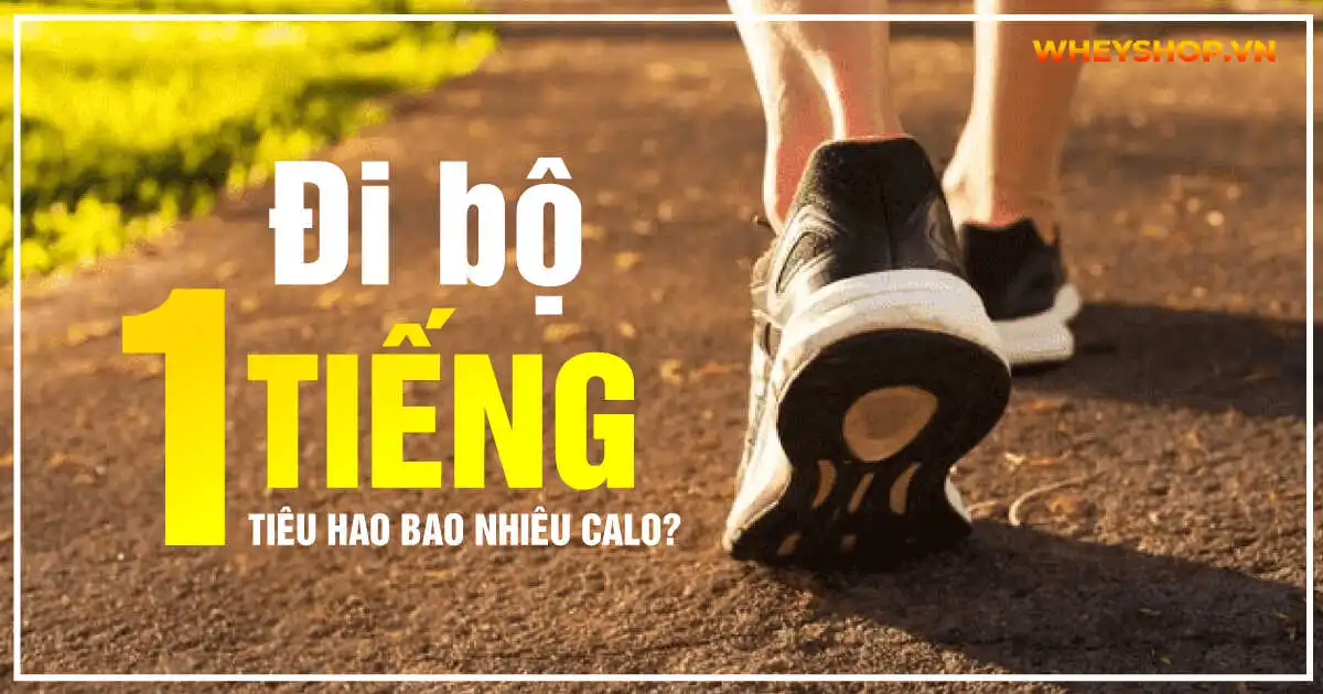 Đi bộ 1 tiếng tiêu hao bao nhiêu calo? Bí quyết giảm cân hiệu quả cho người béo