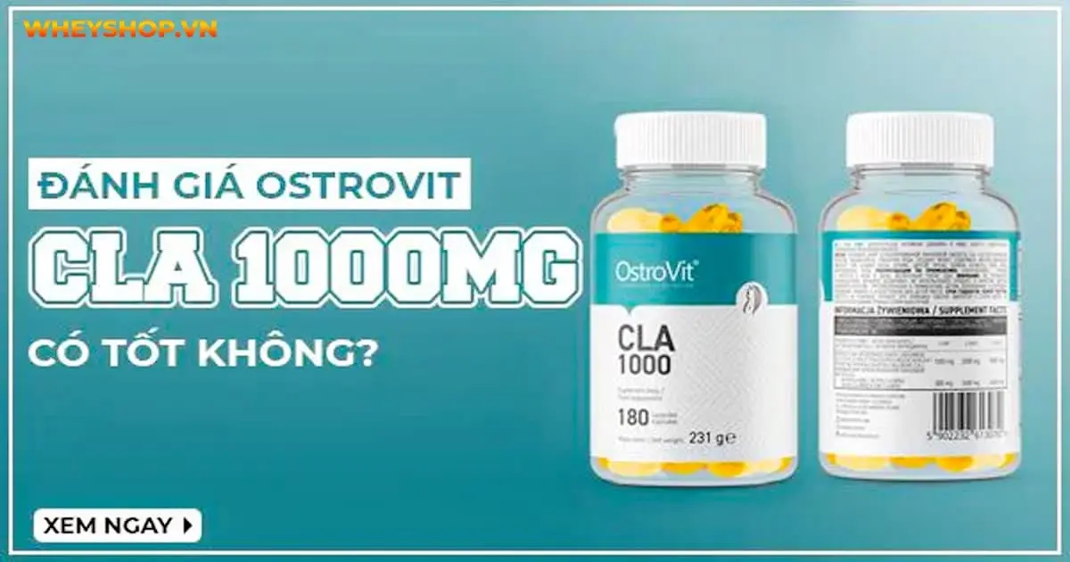 Review đánh giá Ostrovit CLA 1000mg có tốt không?