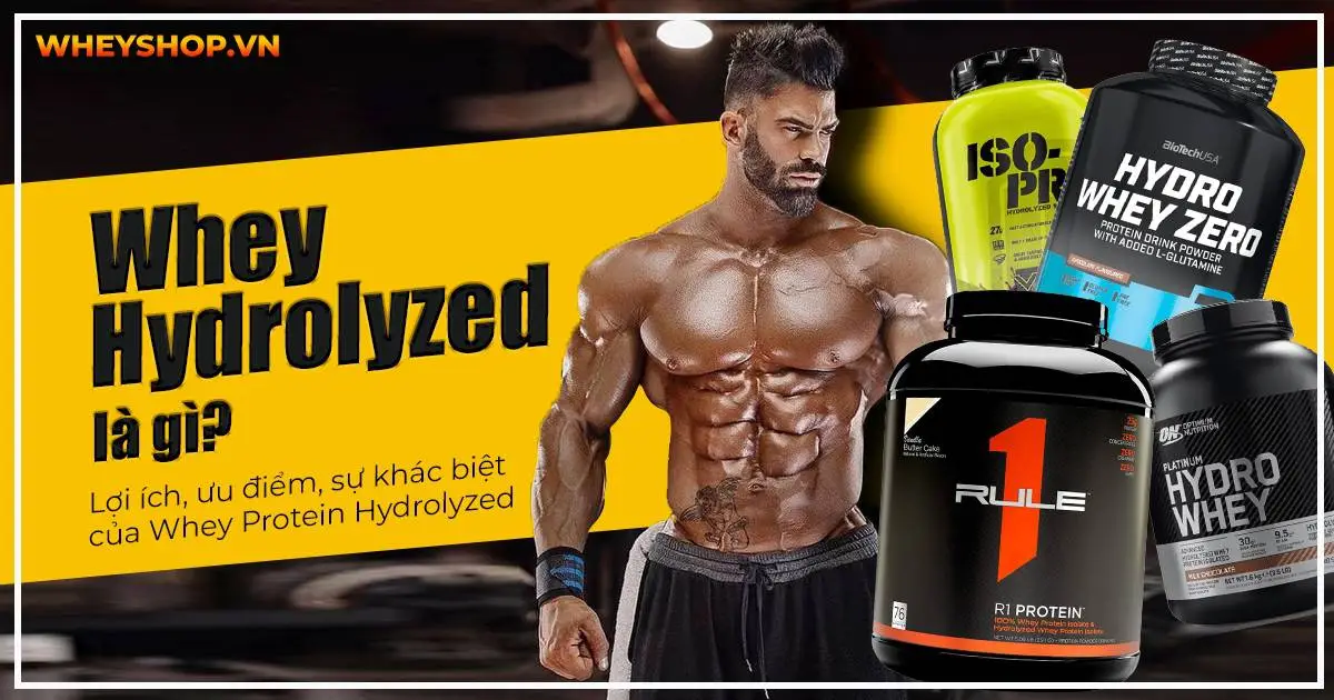 Whey Hydrolyzed là gì? Lợi ích, ưu điểm, sự khác biệt của Whey Protein Hydrolyzed