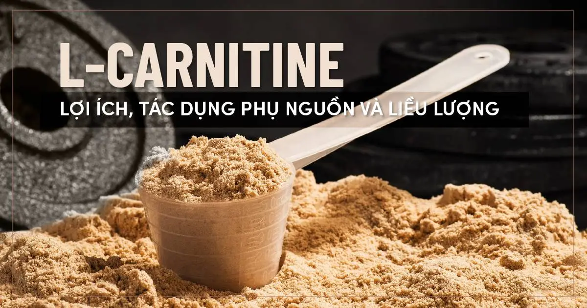 L-Carnitine : Lợi ích, tác dụng phụ, nguồn và liều lượng