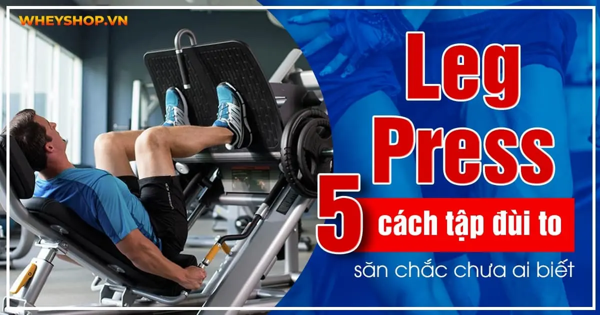 Leg Press và 5 cách tập đùi to, săn chắc chưa ai biết