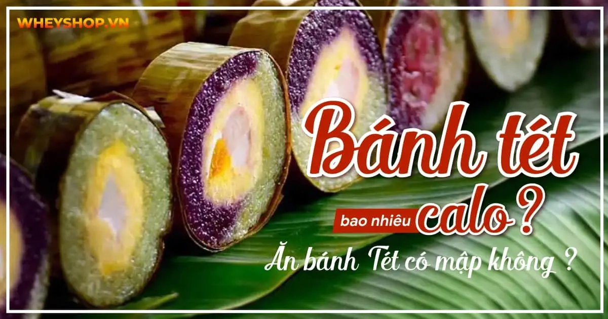 Bánh Tét bao nhiêu calo? Ăn bánh Tét có mập không ?