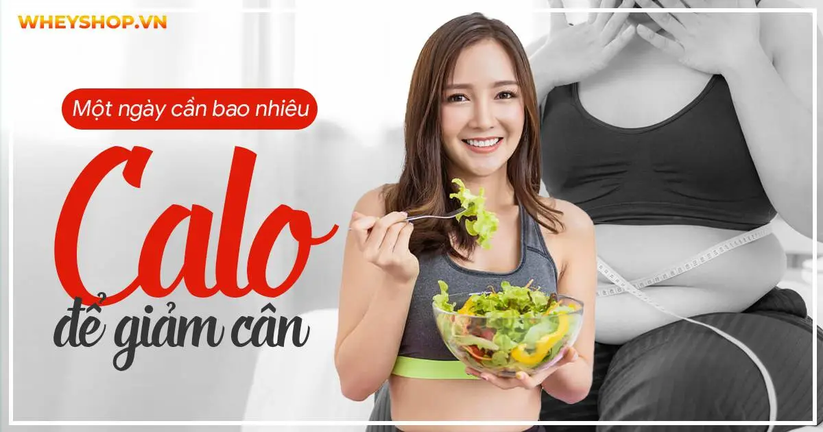 Một ngày cần bao nhiêu calo để giảm cân