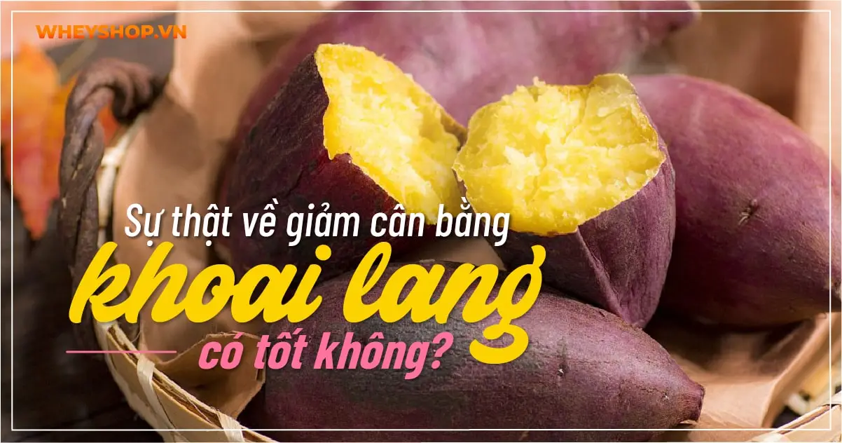 Sự thật về giảm cân bằng khoai lang có tốt không