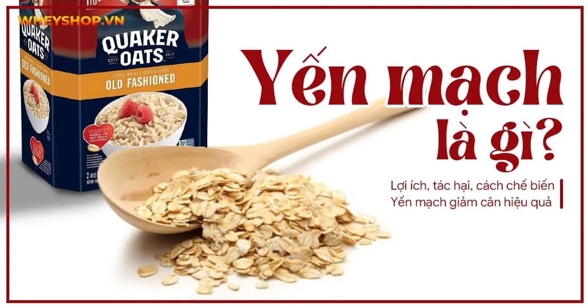 Yến mạch là gì ? Lợi ích, tác hại, cách chế biến Yến mạch giảm cân hiệu quả