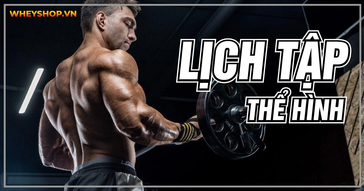 Lịch tập thể hình hợp lý