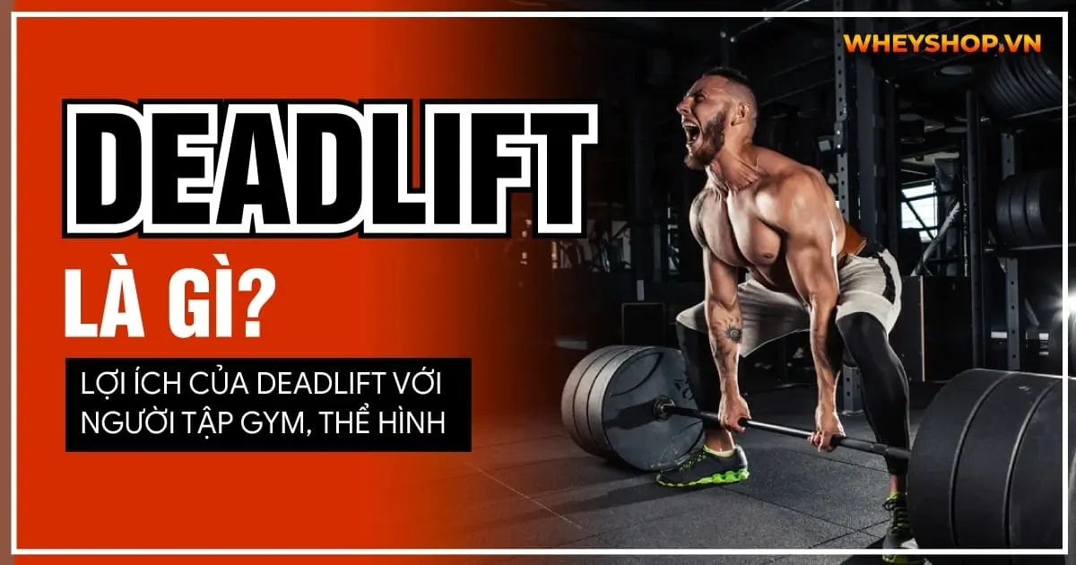 Deadlift là gì? Lợi ích của Deadlift với người tập gym, thể hình