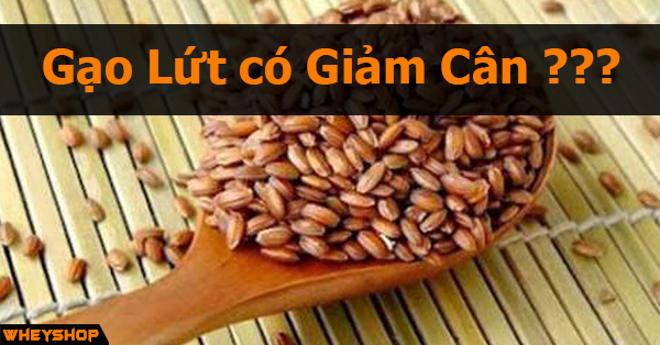 Ăn gạo lứt có giảm cân không ? Cách ăn gạo lứt giảm cân .