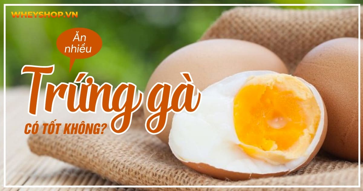 Ăn nhiều trứng gà có tốt không? Ăn trứng gà luộc có mập không?