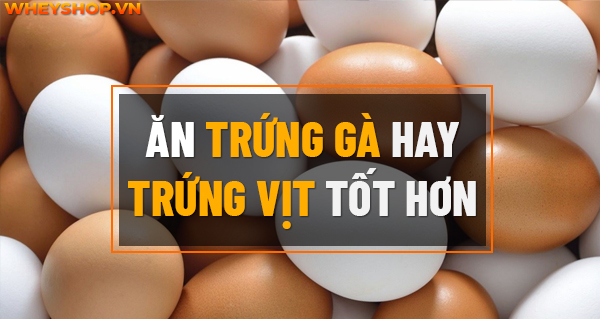 Ăn trứng gà hay trứng vịt tốt hơn? Loại nào tốt cho việc phát triển cơ bắp