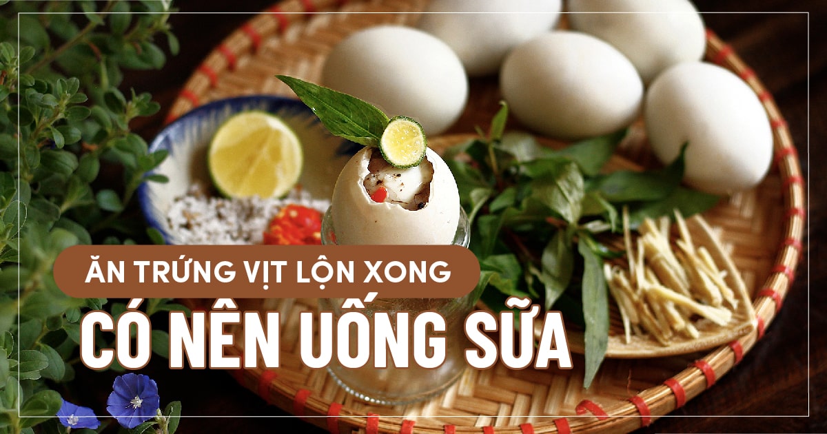 Ăn Trứng Vịt Lộn Xong Có Nên Uống Sữa Không?