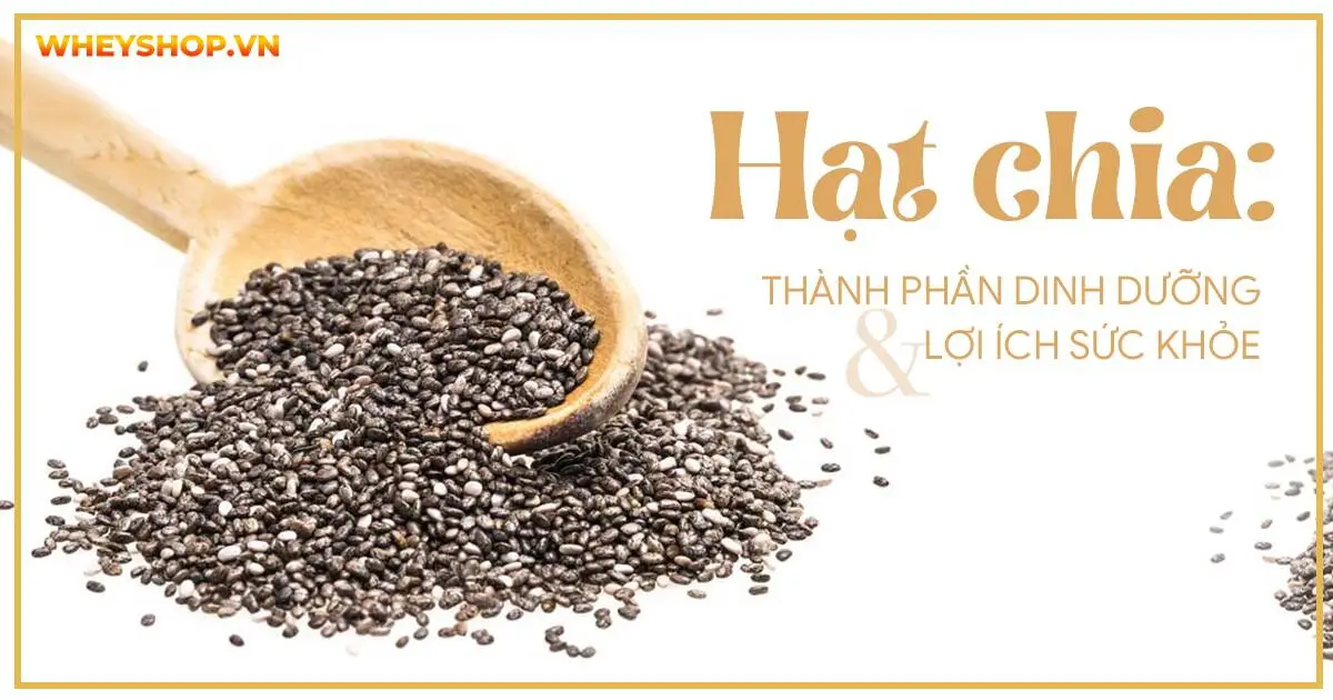 Hạt Chia : Thành phần dinh dưỡng và lợi ích sức khỏe