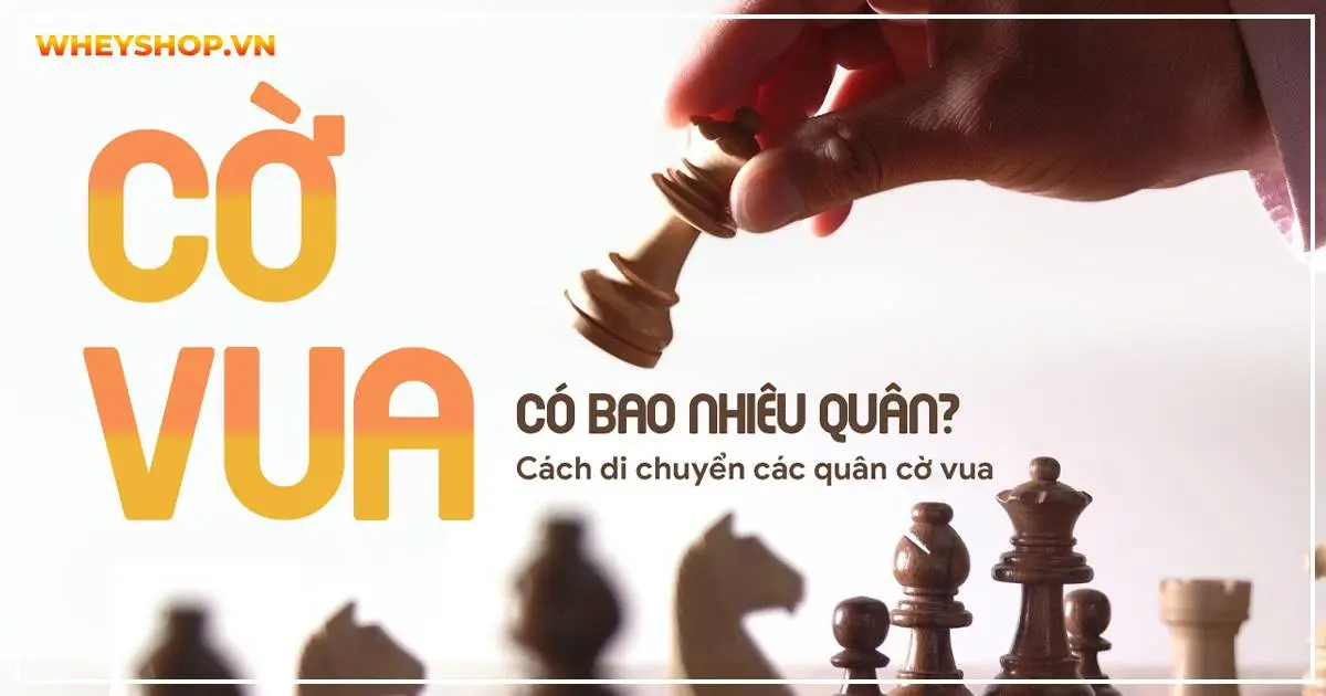 Cờ vua có bao nhiêu quân? Cách di chuyển các quân cờ vua