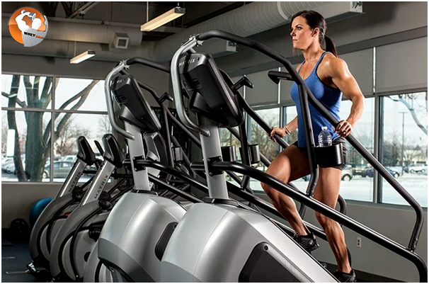 Cùng Whey Shop tìm hiểu những bài tập giảm mỡ đùi