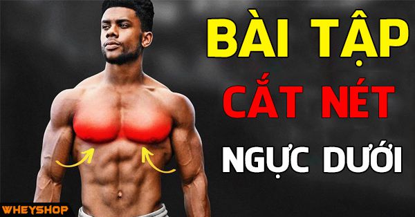 Hướng dẫn 7+ bài tập cắt ngực dưới cực nét với Wheyshop