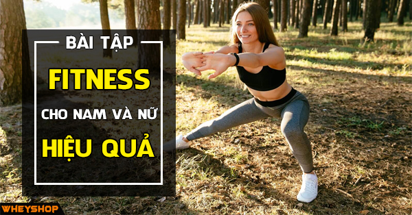 Tổng hợp các bài tập fitness cho nam và nữ từ cơ bản đến nâng cao