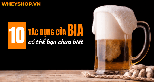 Bật mí 10 tác dụng của bia có thể bạn chưa biết