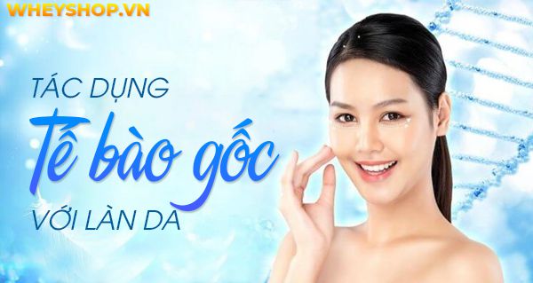 Bật mí tác dụng của tế bào gốc với da mặt