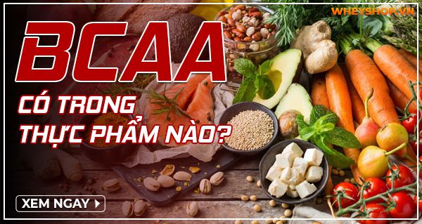 BCAA có trong thực phẩm nào? Top 4 thực phẩm bổ sung BCAA cho Gymer