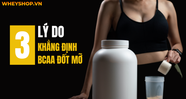 Đừng bỏ qua: 3 lý do để khẳng định BCAA đốt mỡ