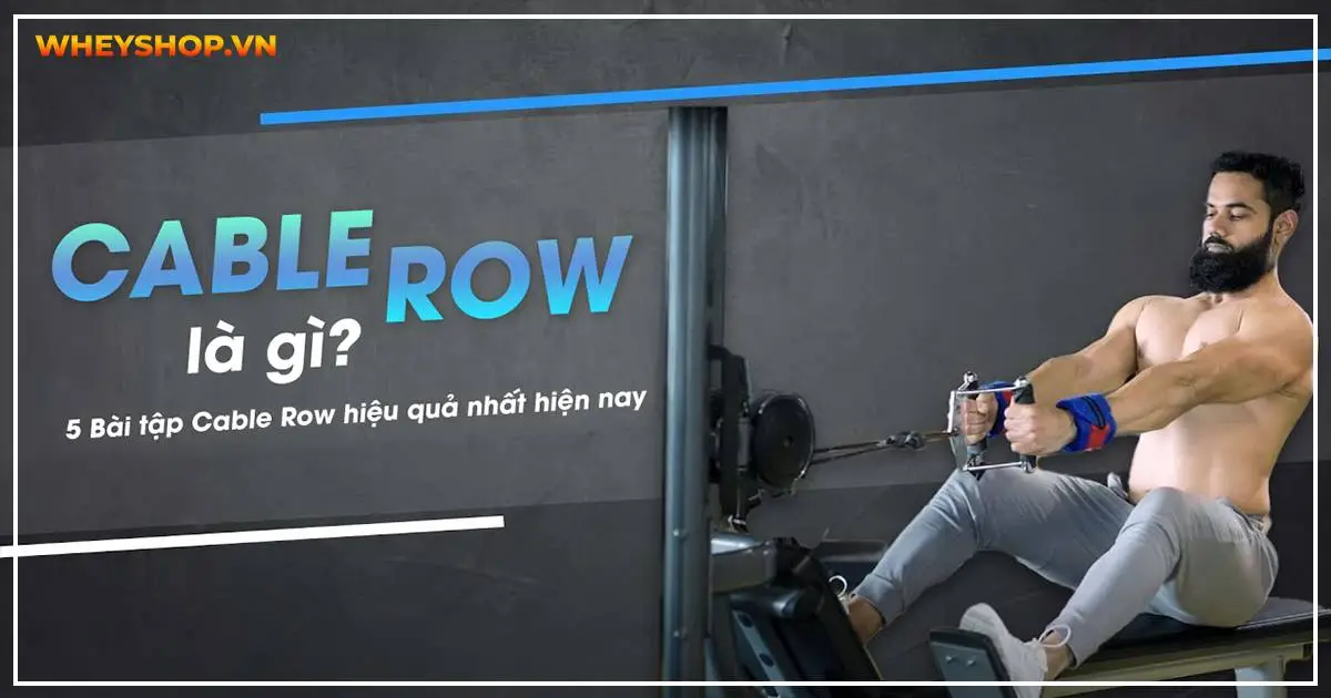 Cable Row là gì ? 5 Bài tập Cable Row hiệu quả nhất hiện nay