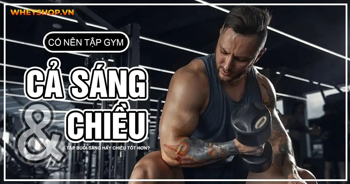 Có nên tập gym cả sáng và chiều? Tập buổi sáng hay chiều tốt hơn?